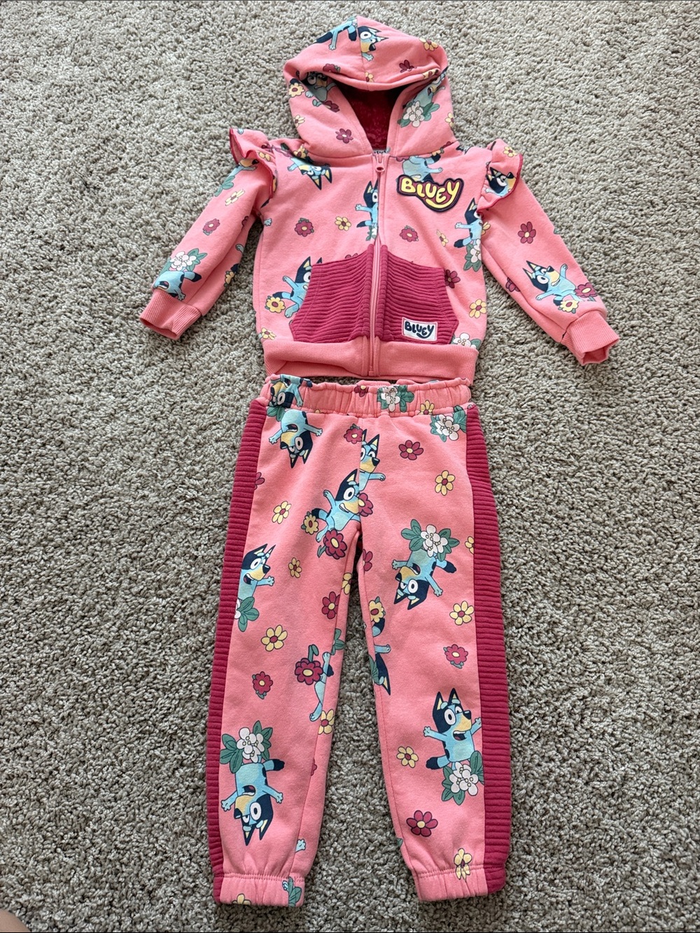 Girls' Pink Hooded Zip Sweatshirt